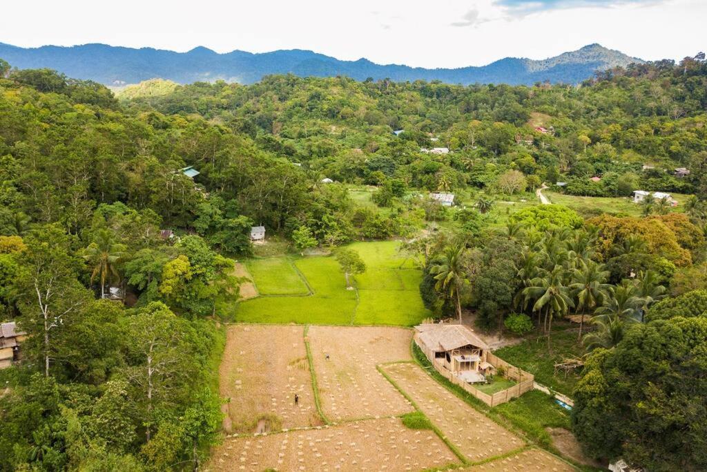 Palayan Villa - Villa With Views, Garden And Pool 爱妮岛 外观 照片